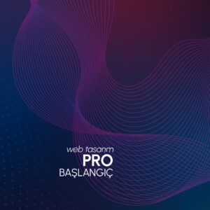 Başlangıç Pro - Web Tasarım
