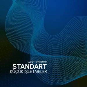 Küçük İşletmeler Standart - Web Tasarım