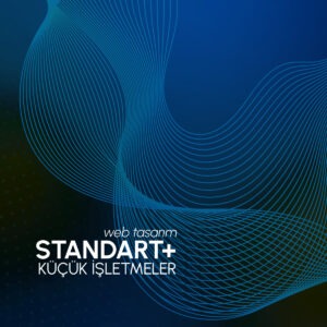 Küçük İşletmeler Standart Plus - Web Tasarım